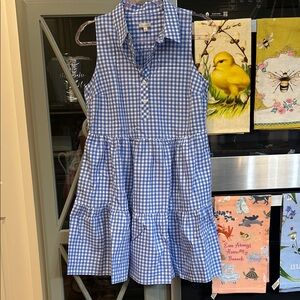 Talbots Blue Gingham Sleeveless Dress